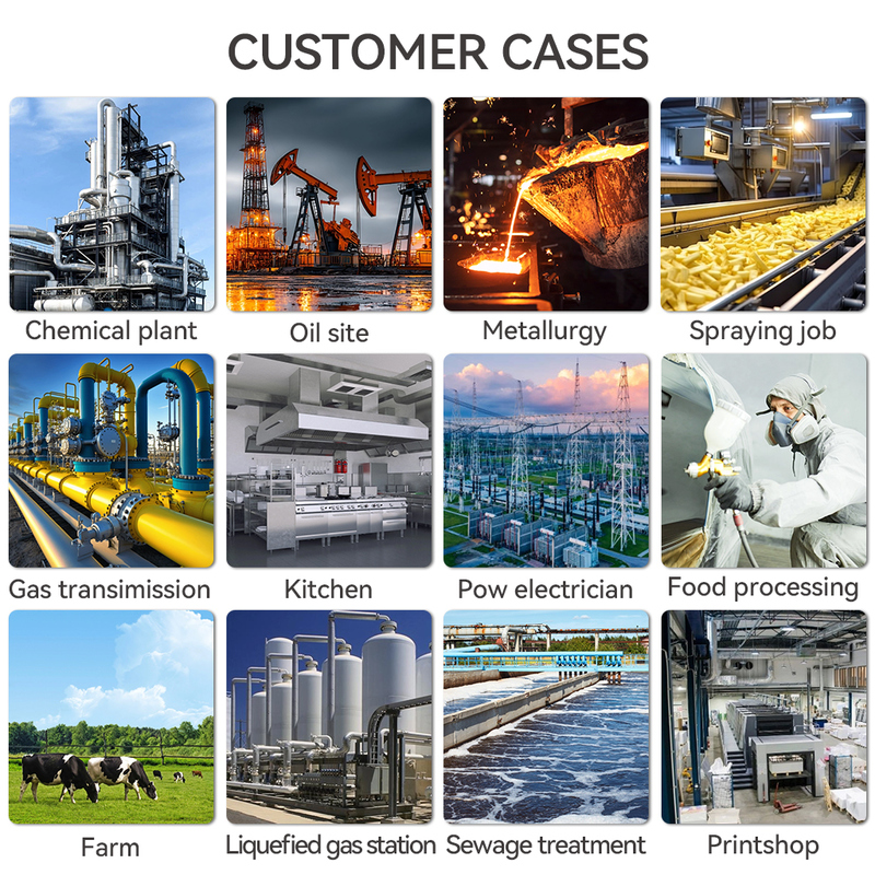 Multifunctional Digital Gas Detector Sensor ATEX & EX Certified for Combustible Gas and CO 4-20mA Current Output ISBUS Bus